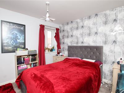 Picture 7